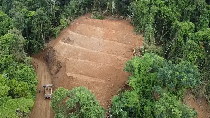 Agosto de 2026: corte en terrazas visto desde el dron.