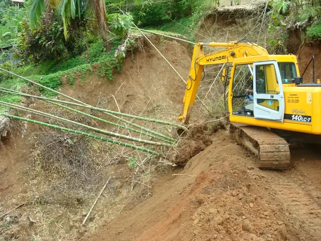 Excavadora trabajando un deslizamiento en una ladera con bambú